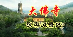 黄色叼B中国浙江-新昌大佛寺旅游风景区
